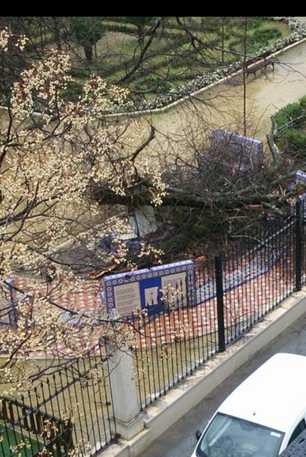 Efectos del vendaval en Cabra el 3 de febrero de 2017.